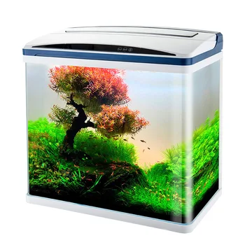 glass fish tank