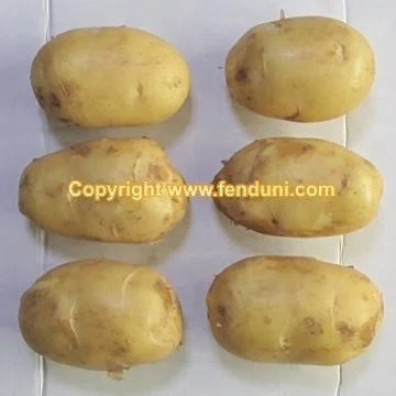 Fresh Sweet Potato Price Per Ton (newest!!!) - Buy Fresh Potato Price 