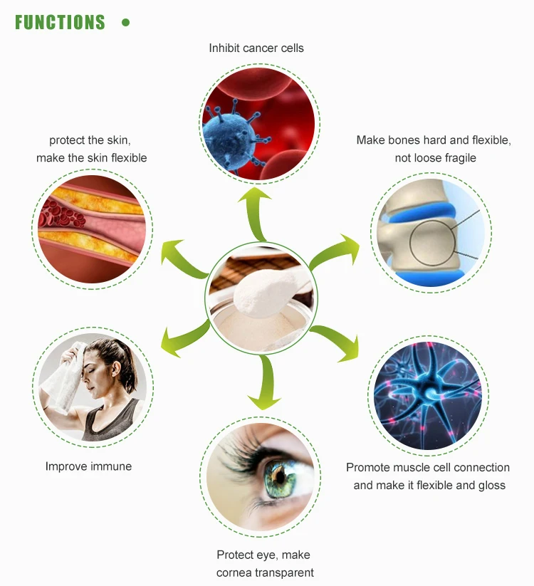 Collagen_02.jpg