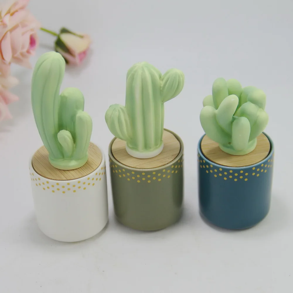 

Ceramic cactus reed diffuser for Xmas