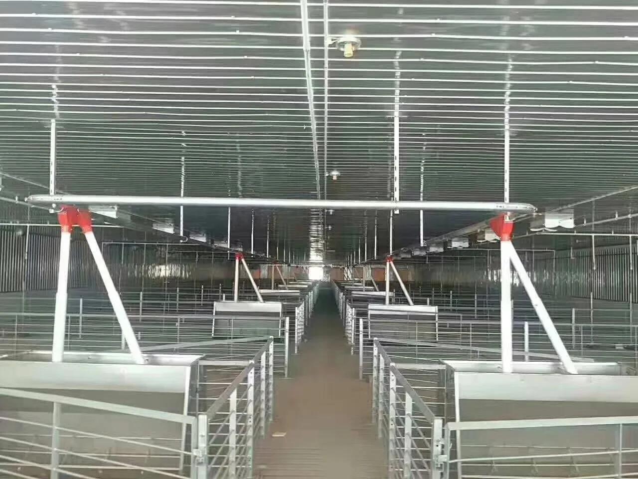 Diskon 2000ton Harga Jual Baja Silo Jagung Silo Penyimpanan Gandum