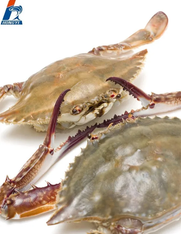 wholesale easy to eat factory price swimming crab frozen seafood