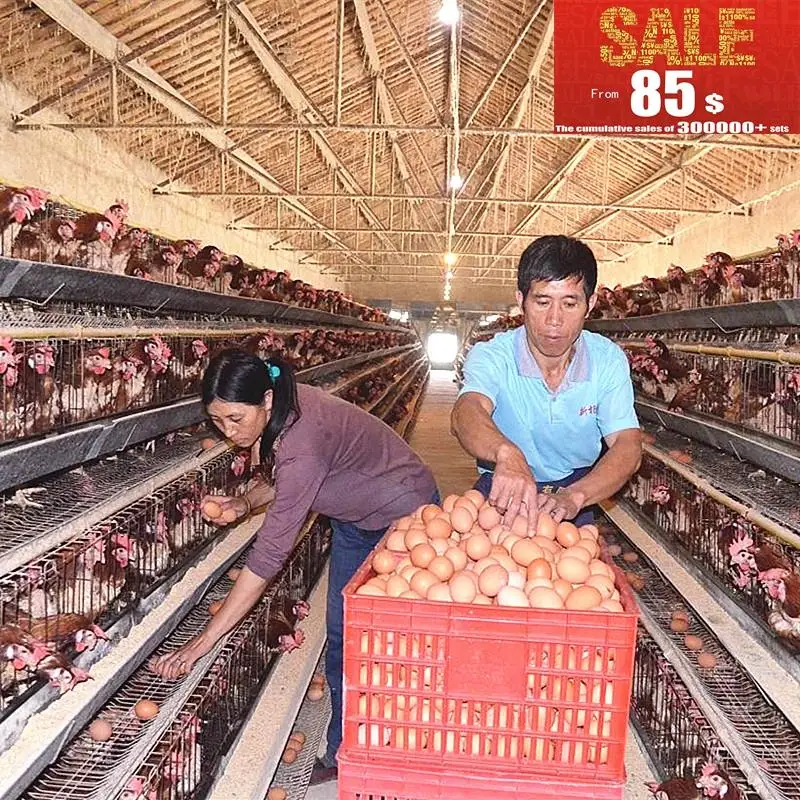 4 Niveaux Batterie Cages Poules Pondeuses Vente En Algérie Cages Danimaux Id De Produit500007756953 Frenchalibabacom