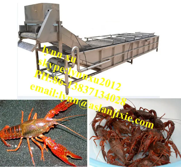 Udang sungai otomatis mesin cuci-Buah & sayur mesin 