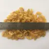 Wholesale chinese2018 raisin tree extract