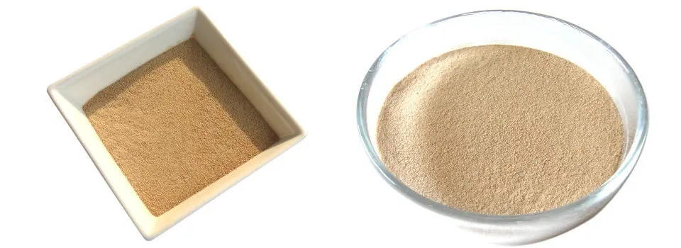 Plant Source Amino Acid Powder.jpg