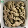 Ginger seeds /air dry ginger /buyer of dry ginger
