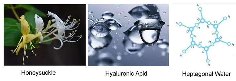 Main Ingredients.jpg