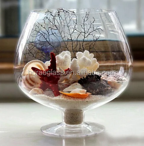 Wine Glass Shaped Transparent Glass Bottle Vase for Plants Flower Decoration