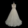 Latest Sequin Lace Applique Bridal Gown A-Line Tulle Wedding Dress Design Vintage Buttons Vestido de Noiva 2019