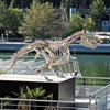 Outdoor garden metal stainless steel dinosaur skeletons sculpture bone statue