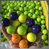 colored wooden ball wooden knob ball quality wood ball with hole