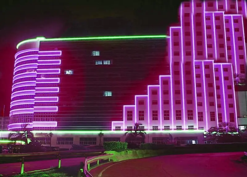 Neon Rope Purple