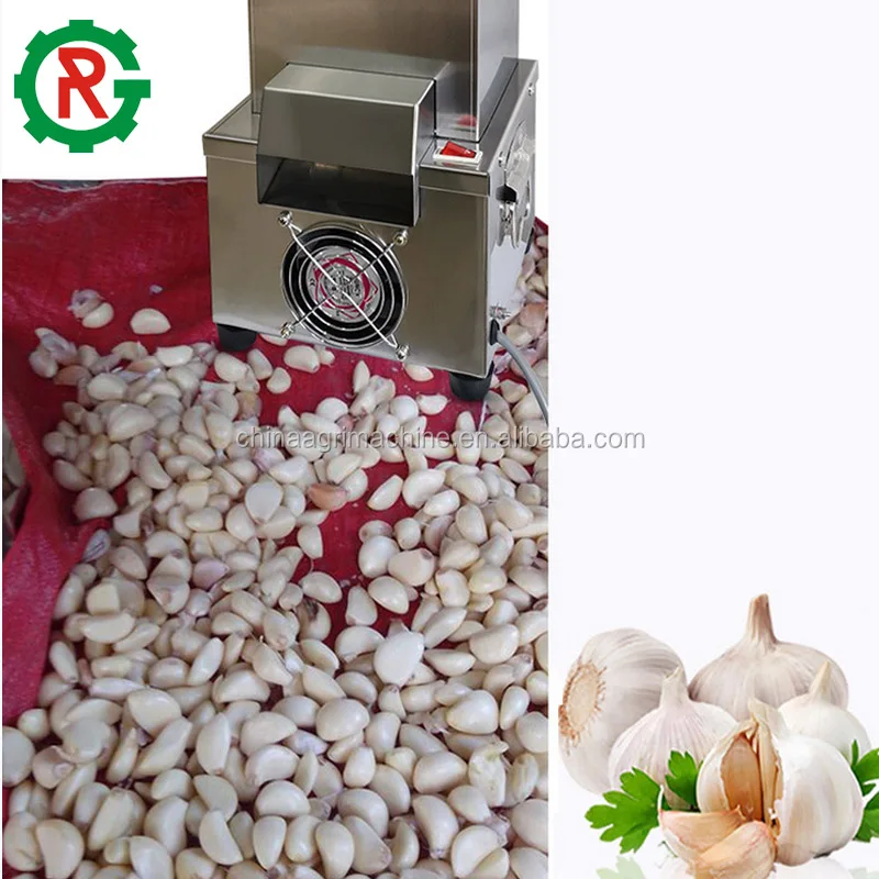 Electric Garlic Peeler Machine 25kg/H Automatic Garlic Peeling Machine 200w  Commercial Whole Garlic Peeler Stainless Steel Garlic Peeler Separator