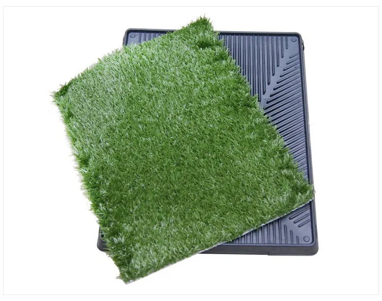 pet wee wee pad.jpg