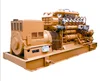 REAL H2 HHO Powered Engine & genset which runs on HYDROGEN H2 gas