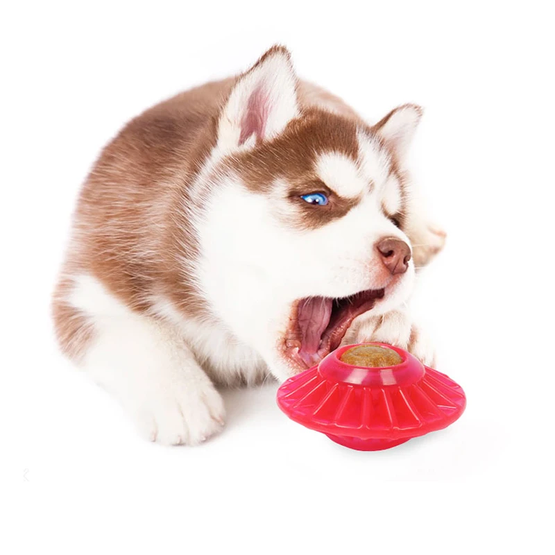 pet toy 9
