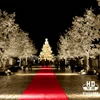 Top Quality Easy to Install Single Color Wedding Red Carpet Runner