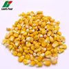 Premium quality air dried vegetables yellow corn for sale