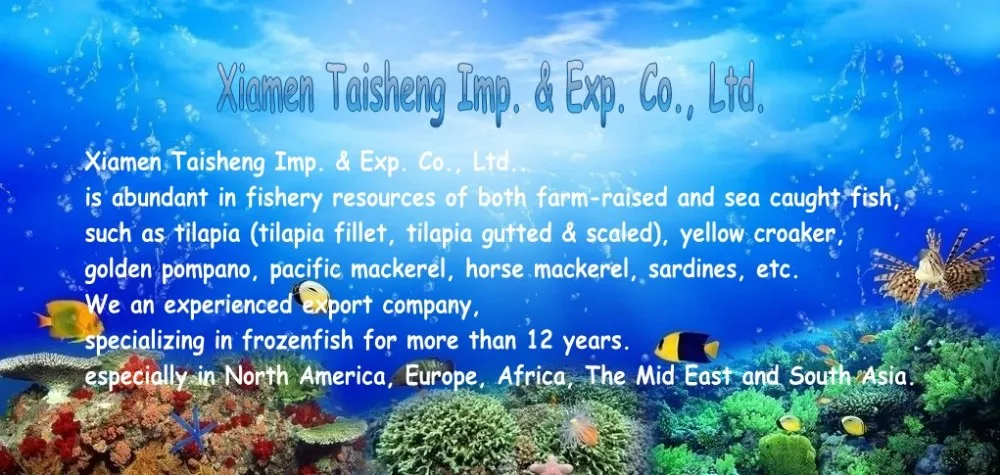 Wholesale Cheap Seafood Frozen Fresh Pacific Mackerel Fish Whole Round