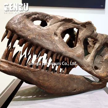 グラスファイバー恐竜 T Rex 用販売恐竜化石 Buy 恐竜化石 T Rex 頭蓋骨 Dinosair 化石販売のため Product On Alibaba Com