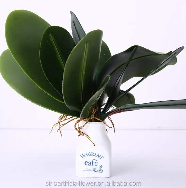Lifelike Real Touch Artificial Orchid Leaves With Fibrous Roots Potted