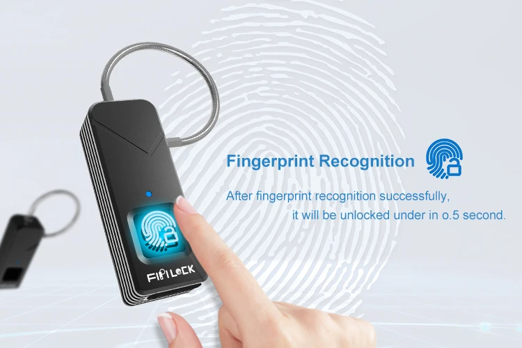 Portable Fingerprint Lock