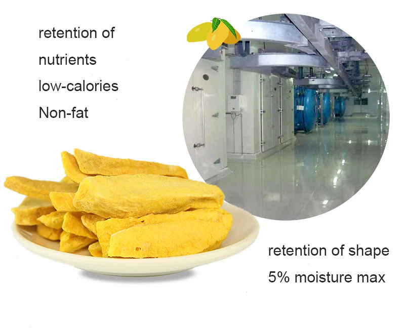 Organic freeze dried mango slices dried mango wholesale