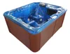New design Simple high quality spa for outdoor garden hot tub with Balboa