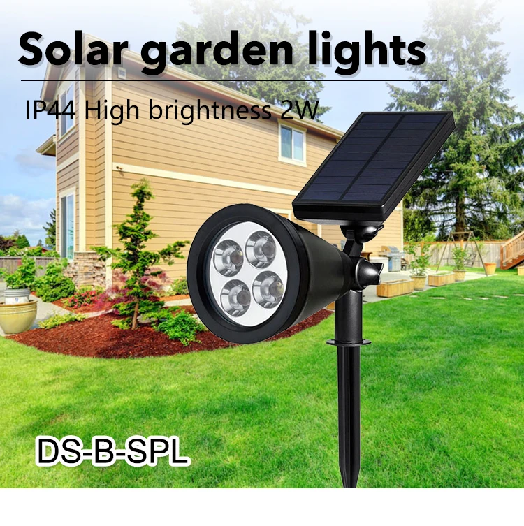 DS-B-SPL_01.jpg