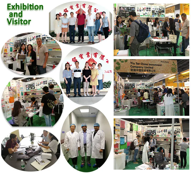 Exhibition and visitor