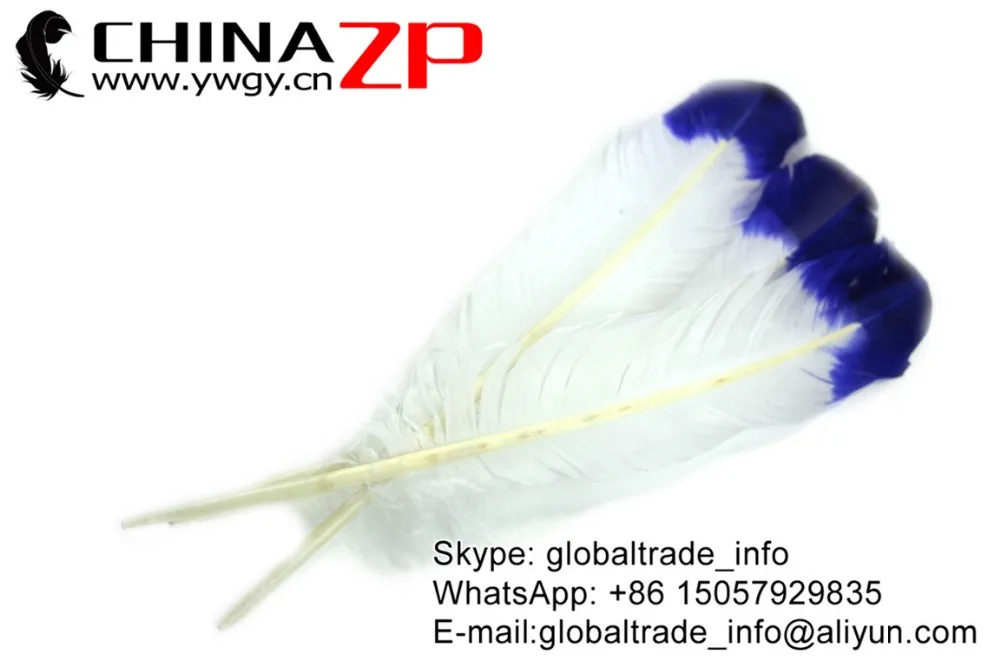 
CHINAZP Factory Cheap Wholesale Feather Size from 30cm to 35cm Dyed Blue Half Dipped Bicolourable Turkey Rounds Wing Feathers 