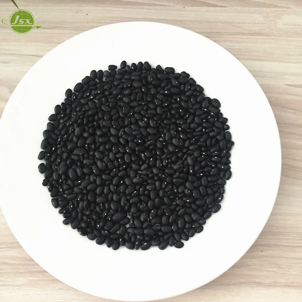 black kidney beans exporter