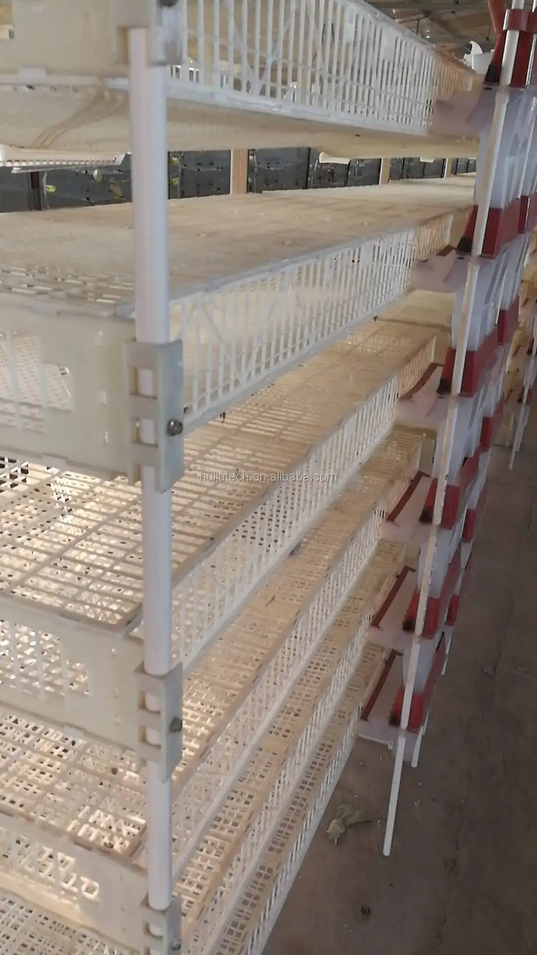 6 Layer Plastic Quail Cage With Egg Collection /quail Layer Cages Hj
