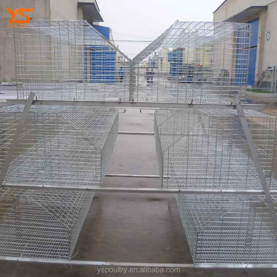 
Top Sale A Type Battery Broiler Cage for Chicken 