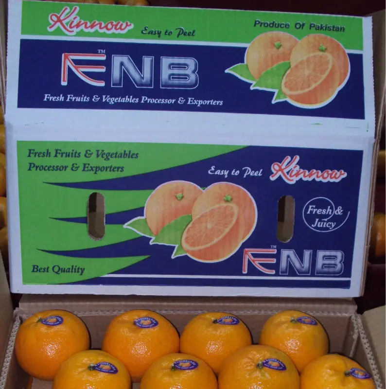 Orange 12
