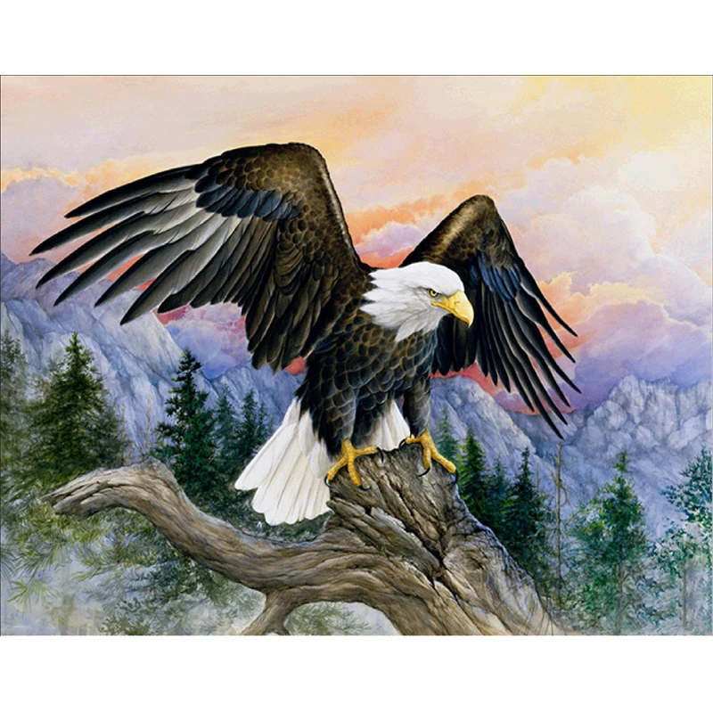 Home Decoration Use Flying Eagle Landscape Paintings Abstract Room Pictures Buy Abstrak Kamar Gambar Gambar Kamar Comfort Desain Gambar Lukisan Abstrak Product On Alibaba Com