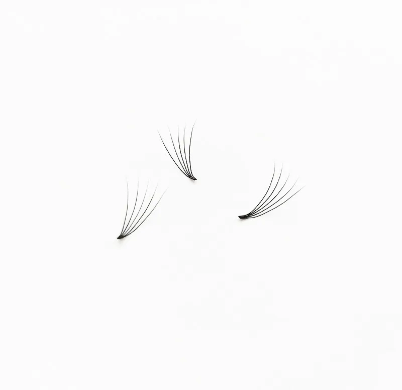 

pre fanned lashes Pre made Russian volume lashes customized eyelash tray, Black