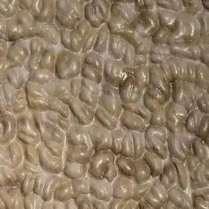 Buy Marideck By Deckrite Vinyl Marine Floor Coverings 6 X 15 Tan