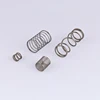 OEM Professional Precision Compression Torsion Spring