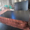 Form work Phenolic Black hardwood film faced Construction Plywood