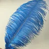 High quality ostrich feather for angle feather wing