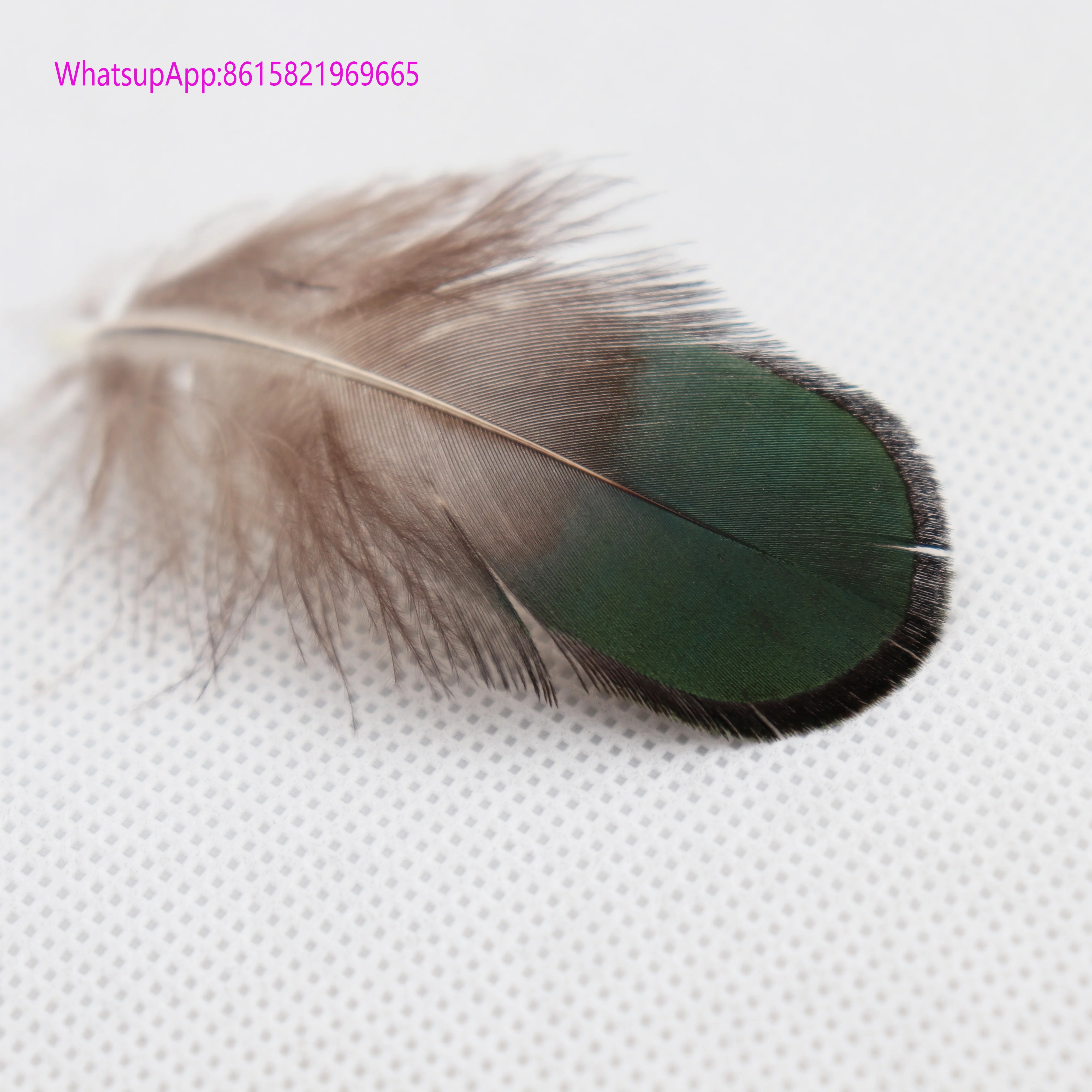 
Cheap Pheasant Feather Peacock Head Feather 