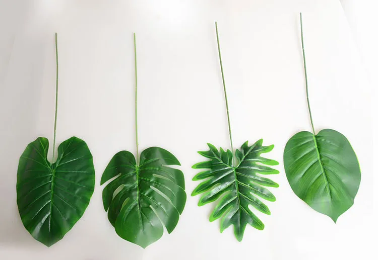 monstera (5).jpg