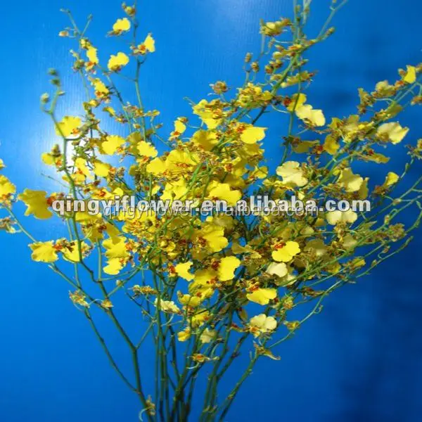wholesale pure and mild flavor hot selling real touch flowers