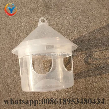 automatic pigeon feeder