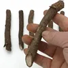 fast growing paulownia elongata root cut