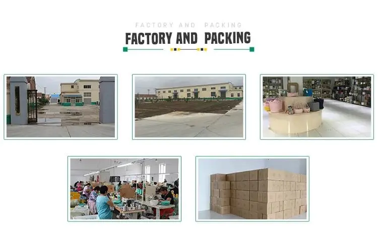 company profile-3.jpg