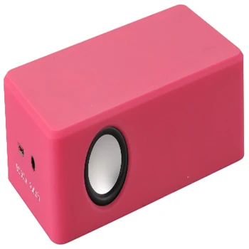 induction speaker (4).jpg