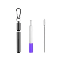 

Factory Price High Quality FDA Prroved Portable Reusable Flexible Custom Drinking Metal Collapsible Water Straw with Case
